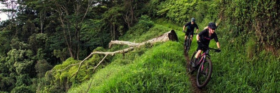 Vrouwelijke en mannelijke mountainbikers die een trail afdalen door de groene begroeide bossen
