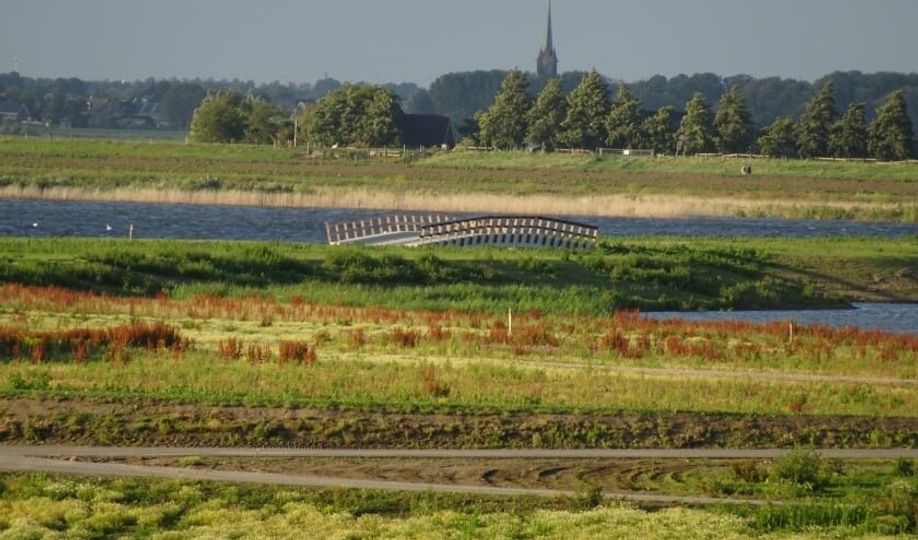 Brug in de groene polder van het Delfland