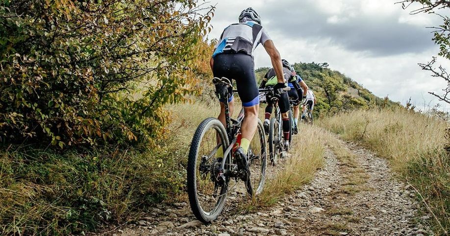 Groep van mountainbikes in zomerkleding die een kiezelpad de berg op fietsen door het droge groene gras