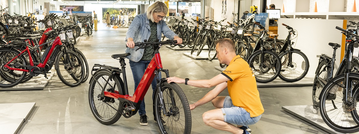 De beste elektrische fietsen van 2024