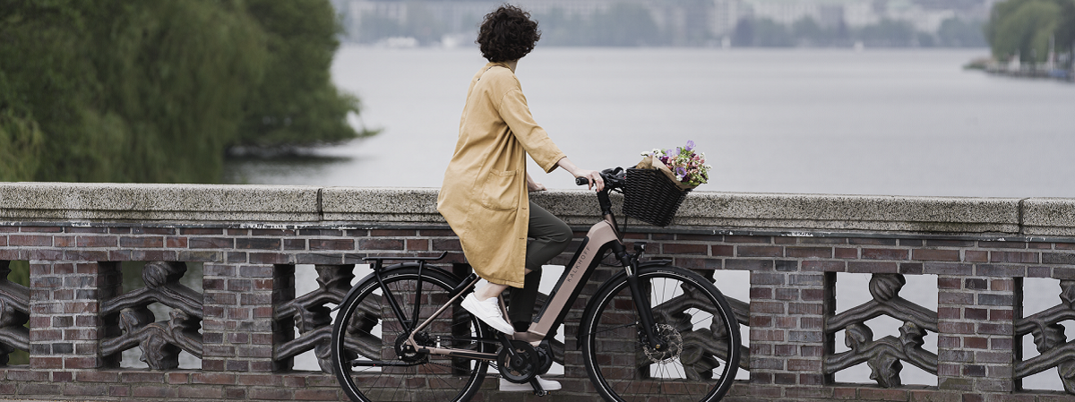 Hoe bescherm ik mijn e-bike tegen diefstal?