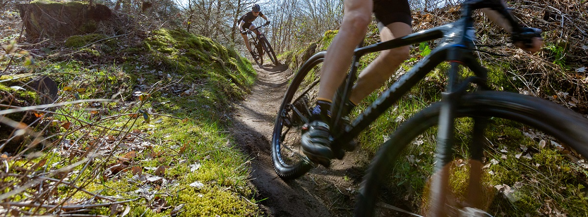 Opeenvolgend Vervolgen slim Welke wielmaat voor de mountainbike? Dit zijn de verschillen | 12GO Biking