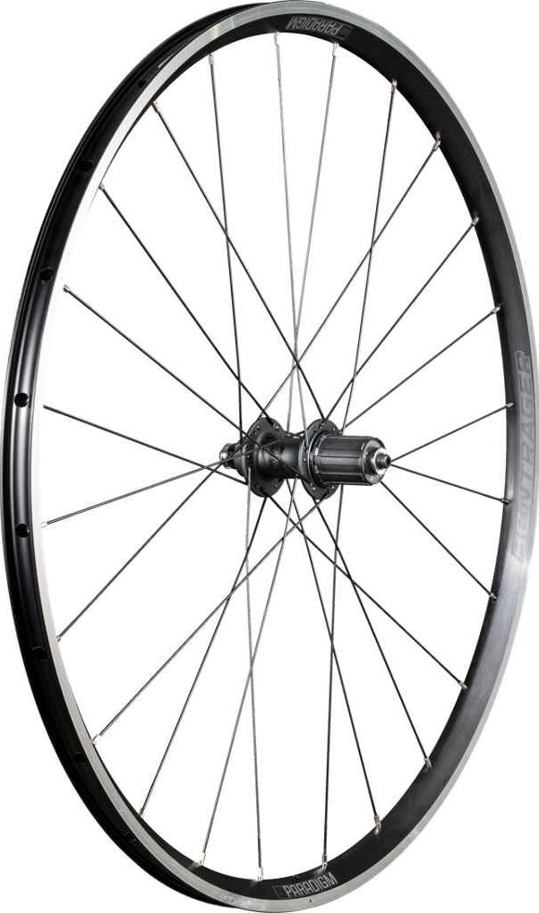 Bontrager wielen online paradigm