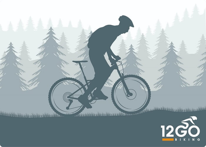 Agu JumboVisma Jersey 12GO Biking