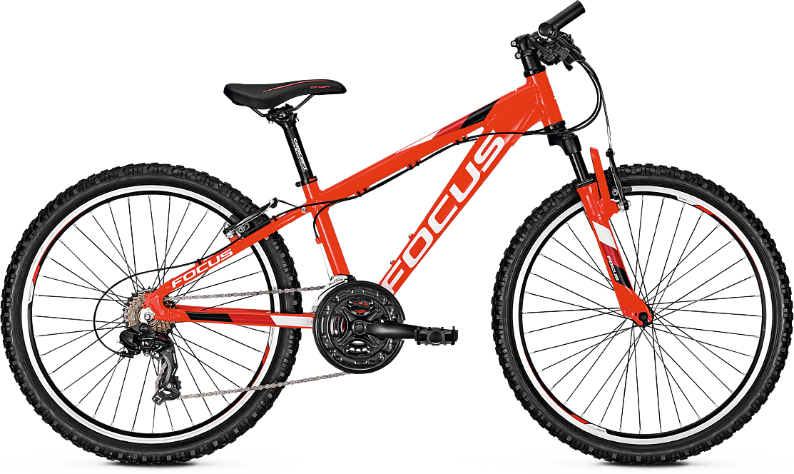 Focus raven rookie sales 24 inch