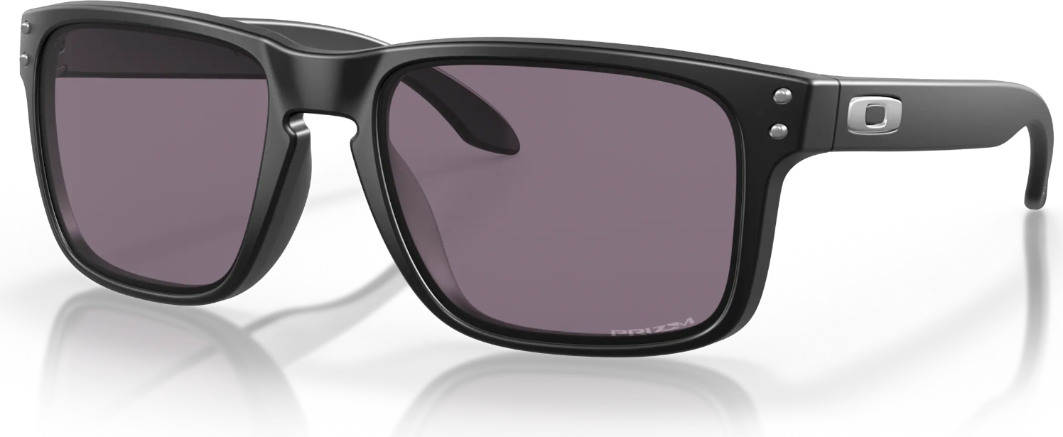 Holbrook prizm 2025 grey
