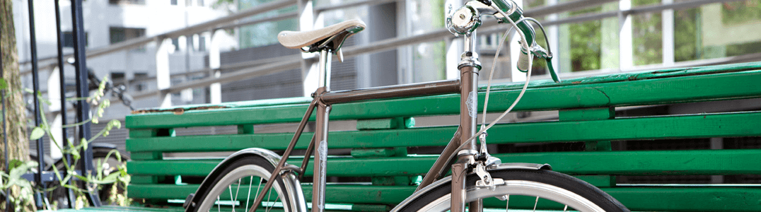 Gazelle Fietsen 2