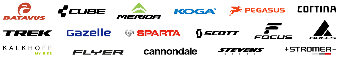 Pompeii Veronderstelling Classificatie Dé E-Bike specialist van Nederland | 12GO Biking